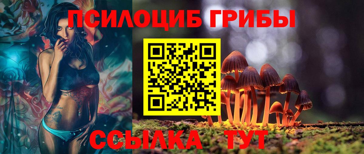 Псилоцибиновые грибы мицелий Усть-Джегута